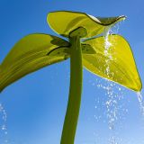 Web_Presentation-AQ-TX-Hico-Splash-Pad-07