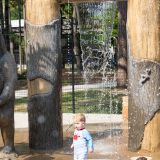 Web_Presentation-AQ-TX-Bear-Branch-Park-190