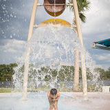 CarrollwoodPark08