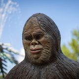 Web_Presentation-AQ-VA-City-of-Norton-Splash-Pad-99