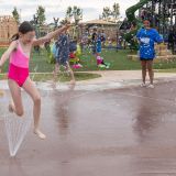 Web_Presentation-OK-Knox-Farm-Park-45