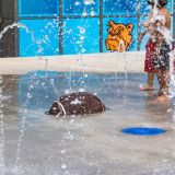 Web_Presentation-AQ-NM-Martin-Luther-King-Junior-Recreational-Complex-49