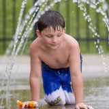 Web_Presentation-WV-Palatine-Park-59