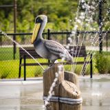 Web_Presentation-AQ-FL-Palmetto-Park-Splash-Pad-03
