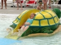 Turtle Slide