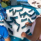 Web_Presentation-AQ-CAN-SK-Wascana-Outdoor-Pool-Playground-and-Spray-Pad-09