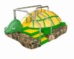 render of 3d turtle slide