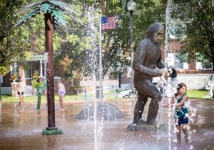 Norton Splash pad with custom sasquatch feature